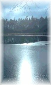 wasserbutton.jpg - 9000 Bytes